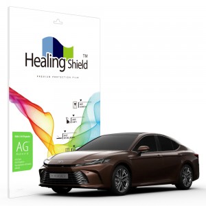 ��ǰ ������