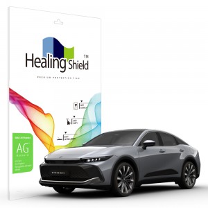 ��ǰ ������