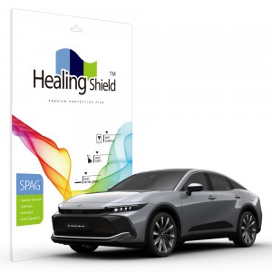 ��ǰ ������