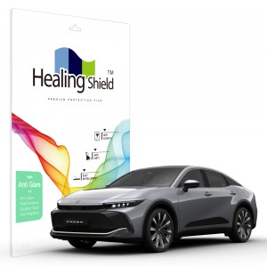 ��ǰ ������