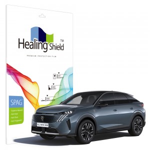 ��ǰ ������