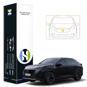 ��ǰ ������