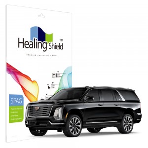 ��ǰ ������